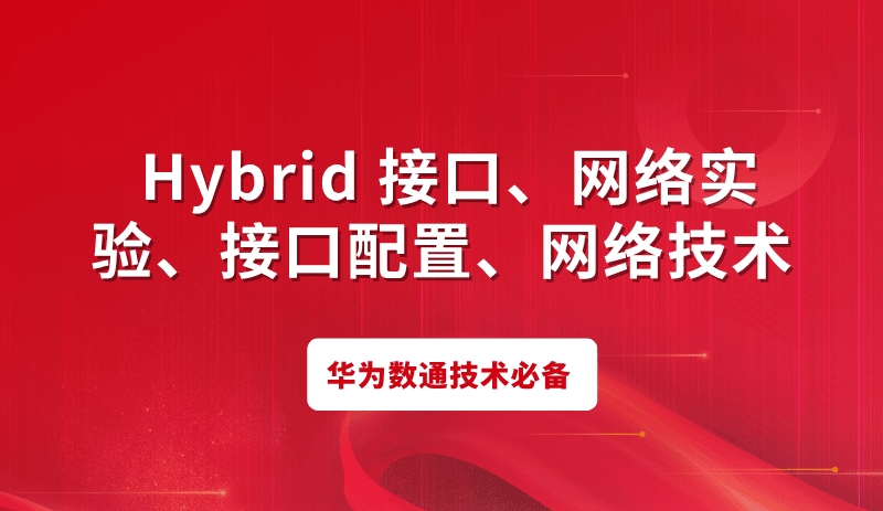 hybrid接口实验讲解