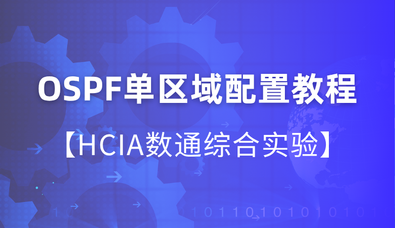 OSPF单区域配置实验