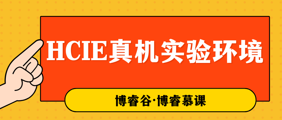 HCIE实验环境
